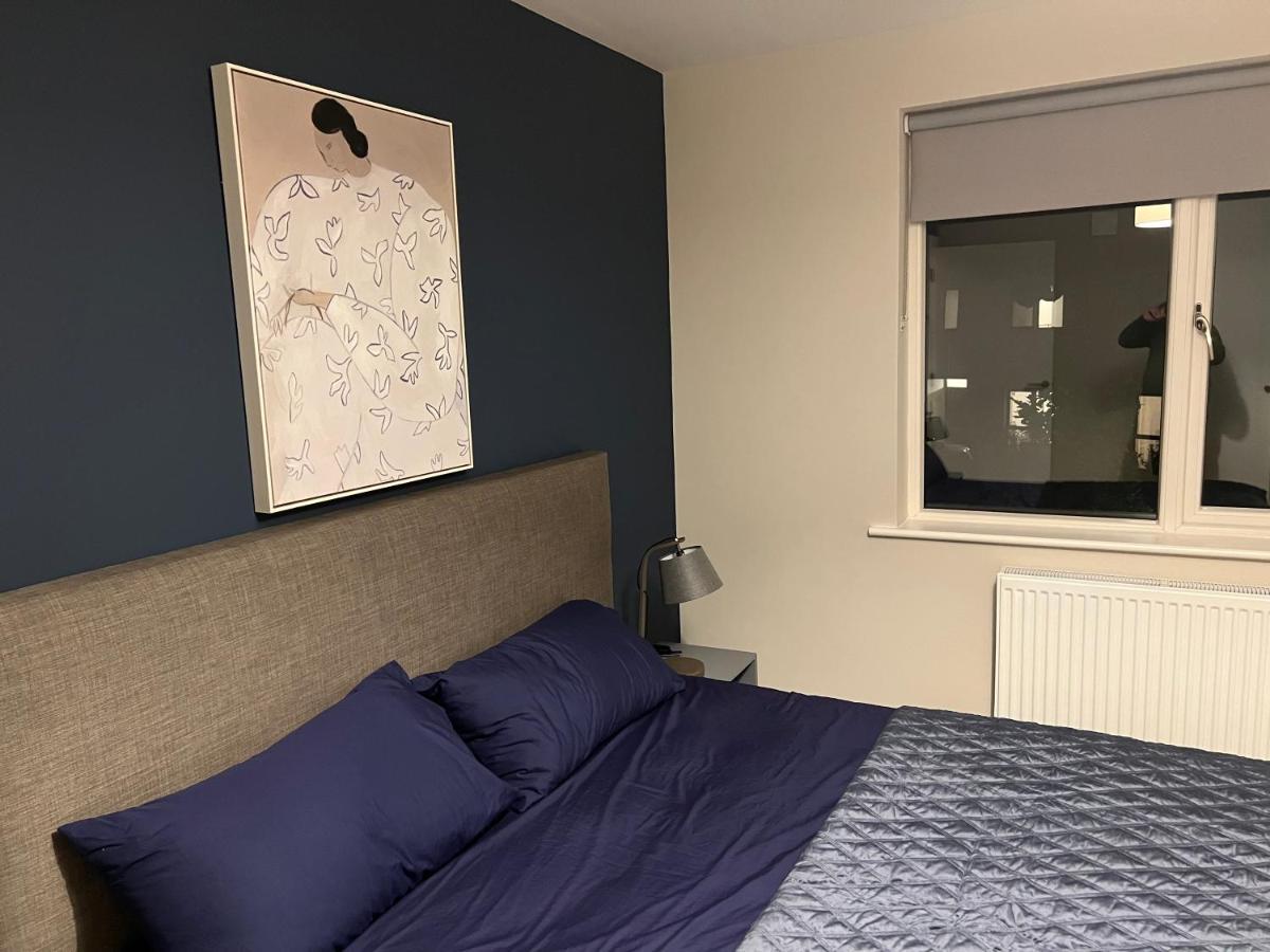 3 Bed Rooms Vip Family House Dublin Exteriér fotografie